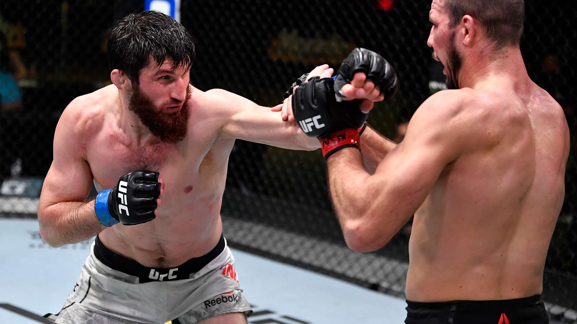 不乏传奇故 不乏传奇故