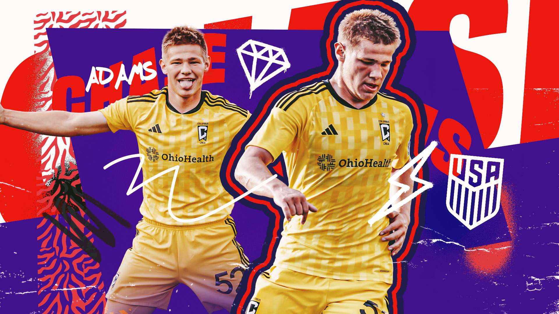 能提供有限 能提供有限